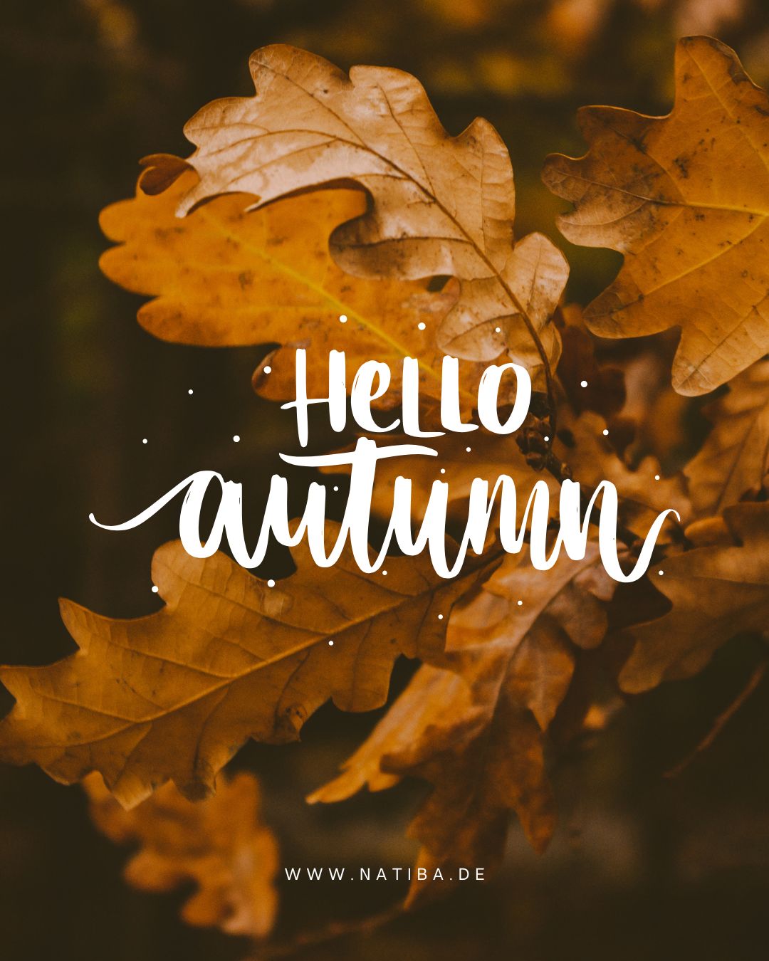 Ängste im Herbst und im Leben, Buntes Laub